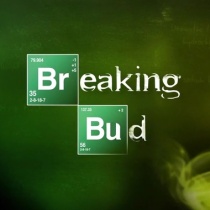 dj - Breaking Bud