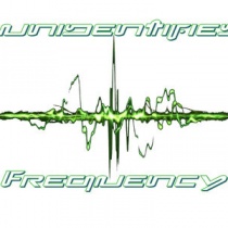 dj - Unidentified Frequency