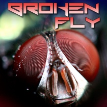 dj - BROKEN FLY