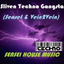 dj - Sliven Techno Gangsta (SenseI & Vein2Vein)