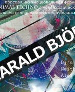 Harald Bjork, Dj Alex Kelman, Harald Bjork в москве