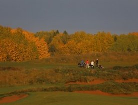 В Петербурге открыли гольф-поле международного уровня - Новость