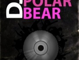 dj - DJ Polar Bear